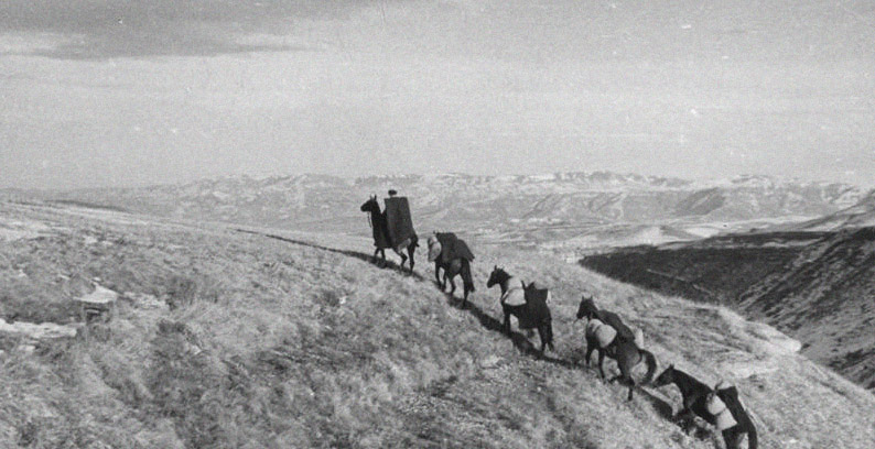 Поход на лошадях в горы. Конные восхождения в горы Кавказа.